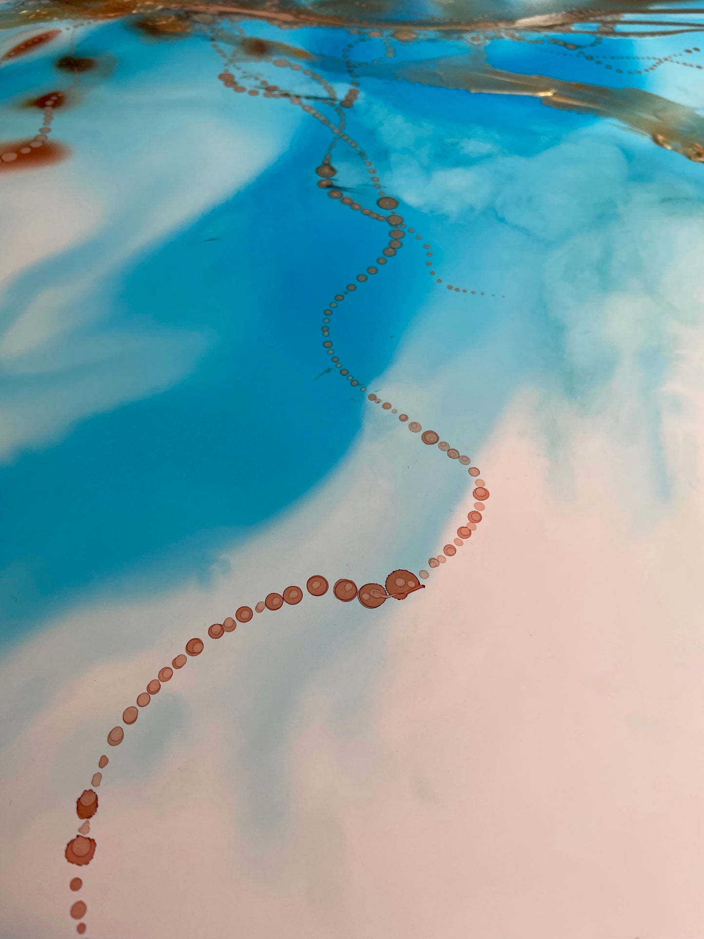 Neptune’s Necklace. Ocean inspired artwork